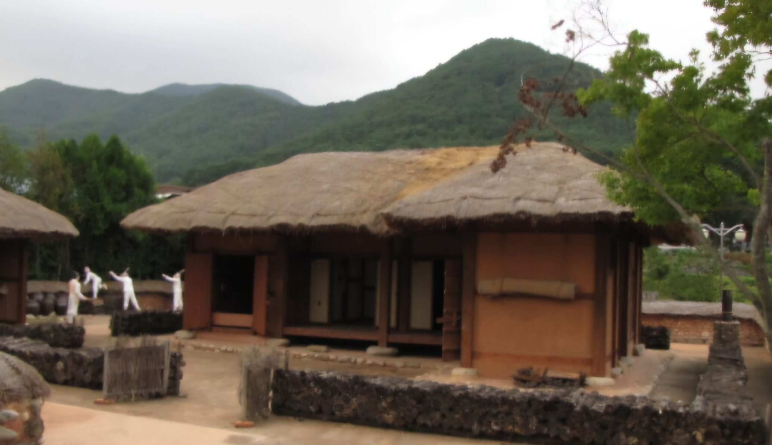 Read more about the article 쌍치;전봉준 피체지 갔습니다.