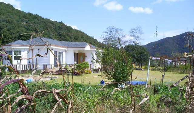 Read more about the article 여기 이 사람, 이렇게 삽니다