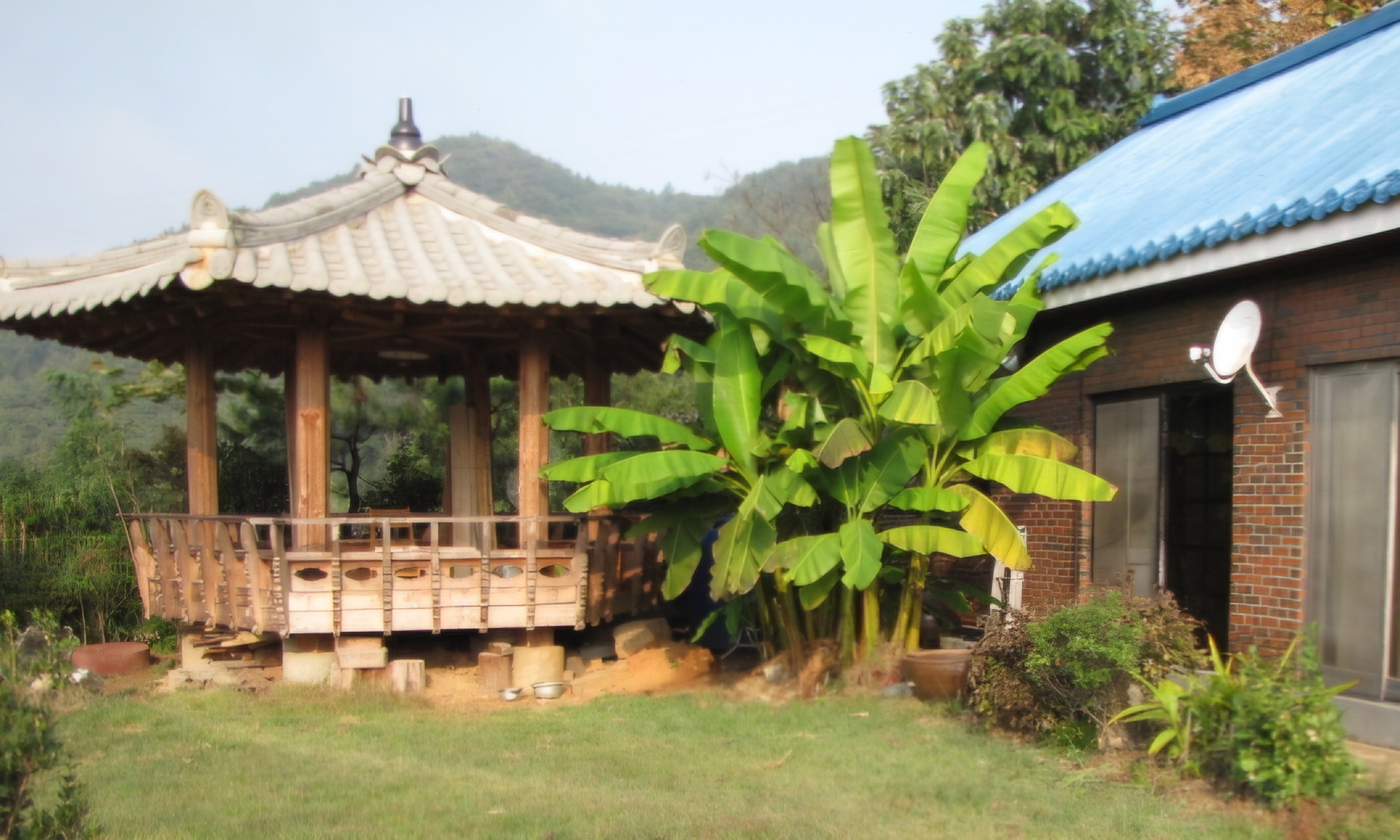 Read more about the article 시골 생활, 꽤 괜찮습니다.