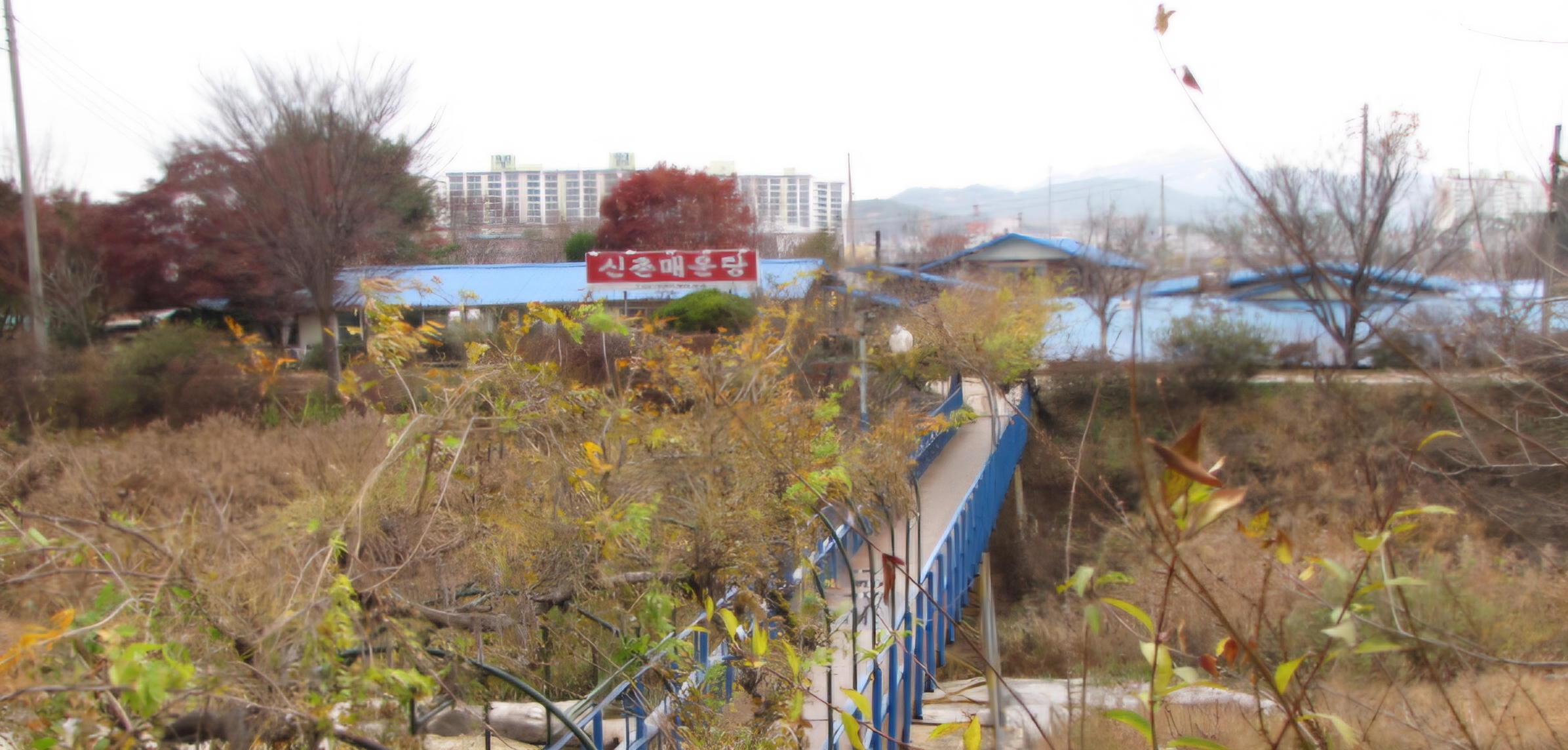 Read more about the article 남원 ‘신촌 매운탕’; 민물탕이 어떻습니까?