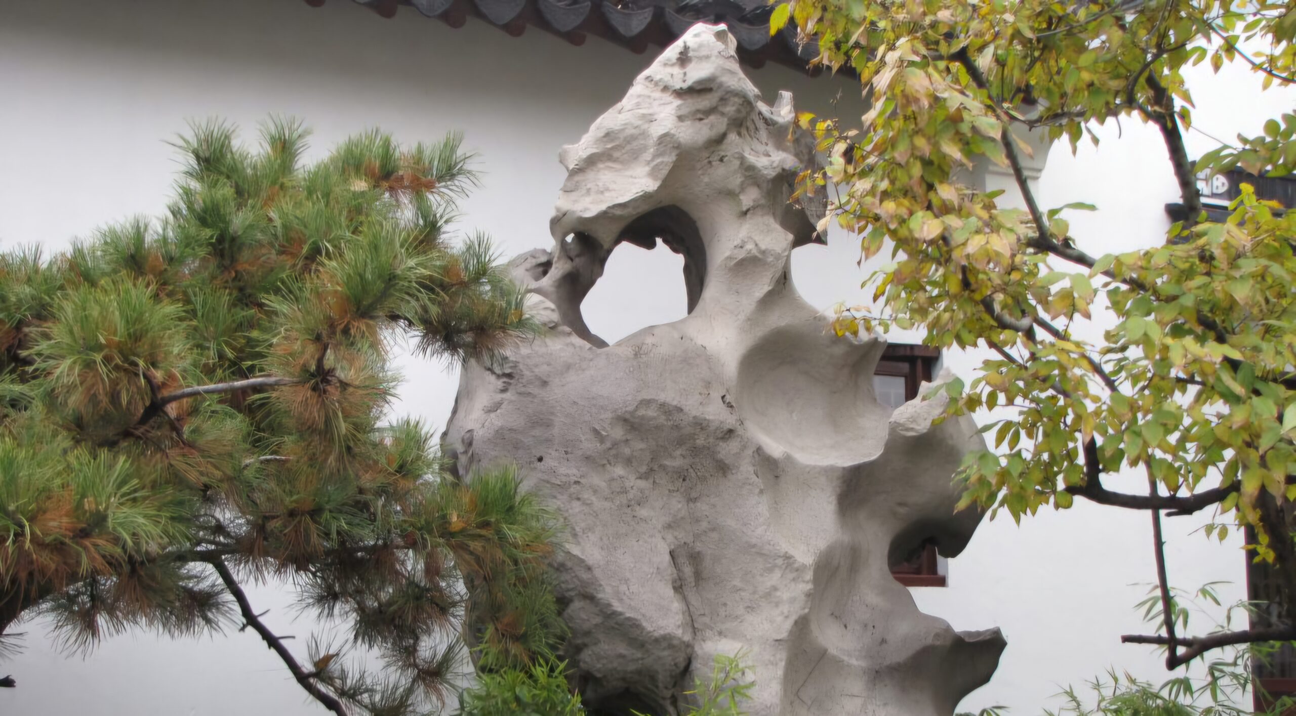 Read more about the article 유원(留園) 태호석, 묘합니다