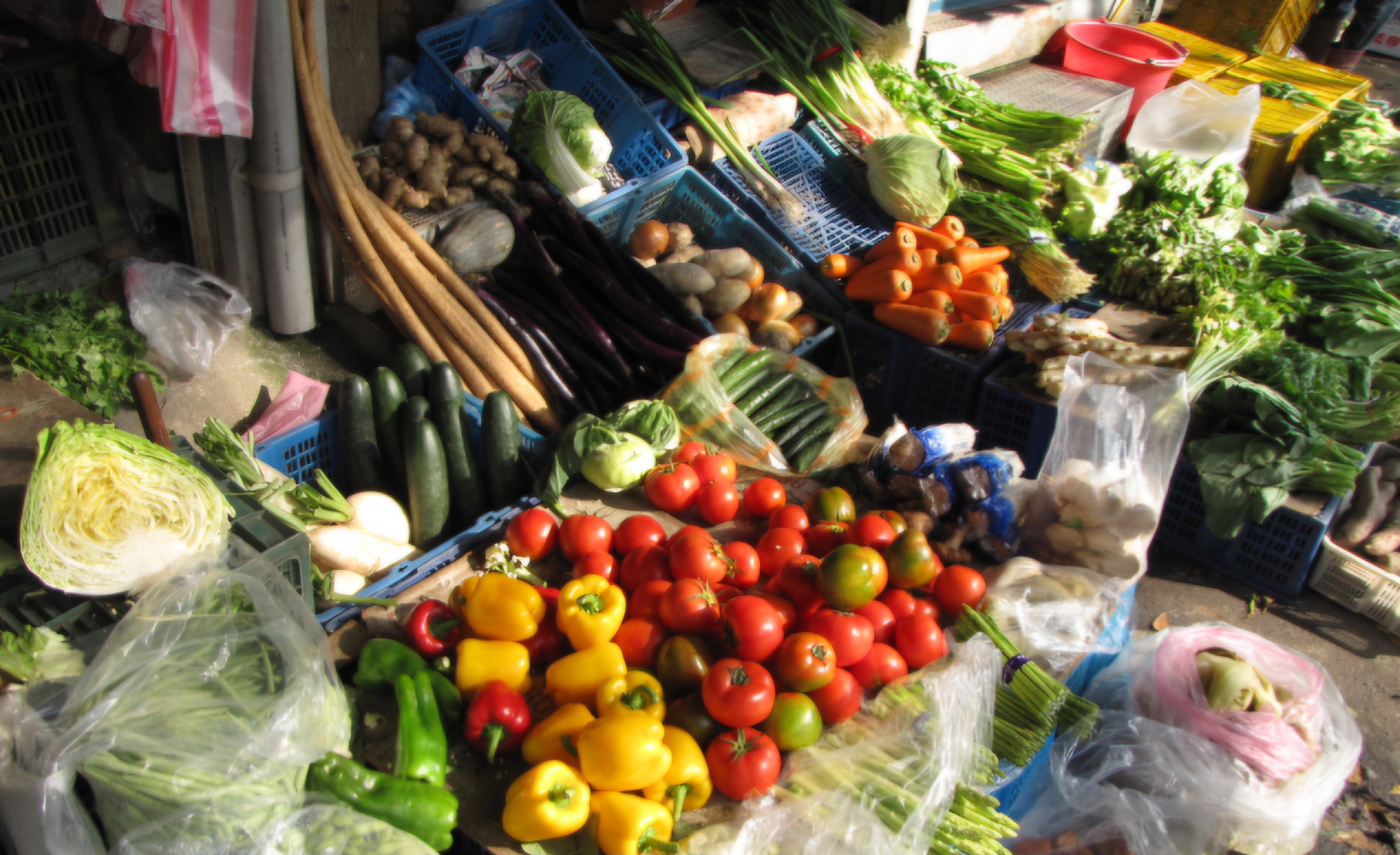 Read more about the article 중국 사람, 무얼 먹고 살지?