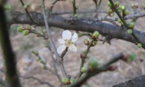 Read more about the article 이른봄 모습입니다.