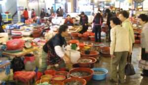Read more about the article 서천시장 수산물, 싱싱합니다.