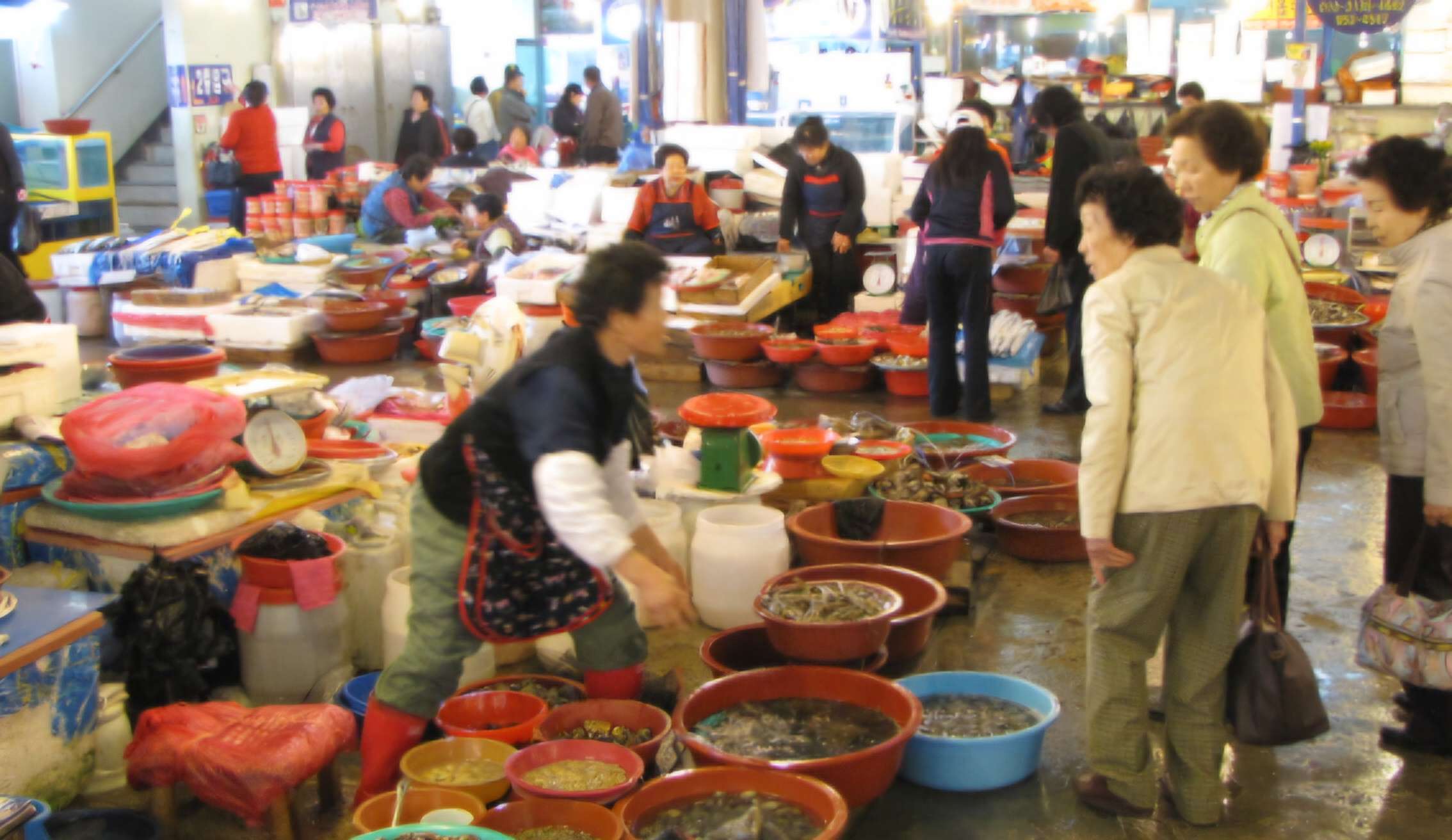 Read more about the article 서천시장 수산물, 싱싱합니다.