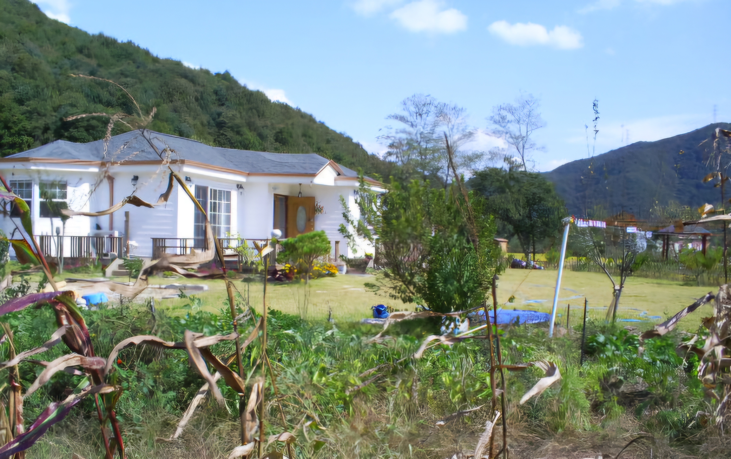 Read more about the article 자색 고구마의 힘