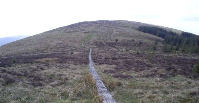 Read more about the article 아일랜드에 간 이유는…