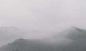 Read more about the article 날씨가 ‘아열대성 우기’ 같습니다