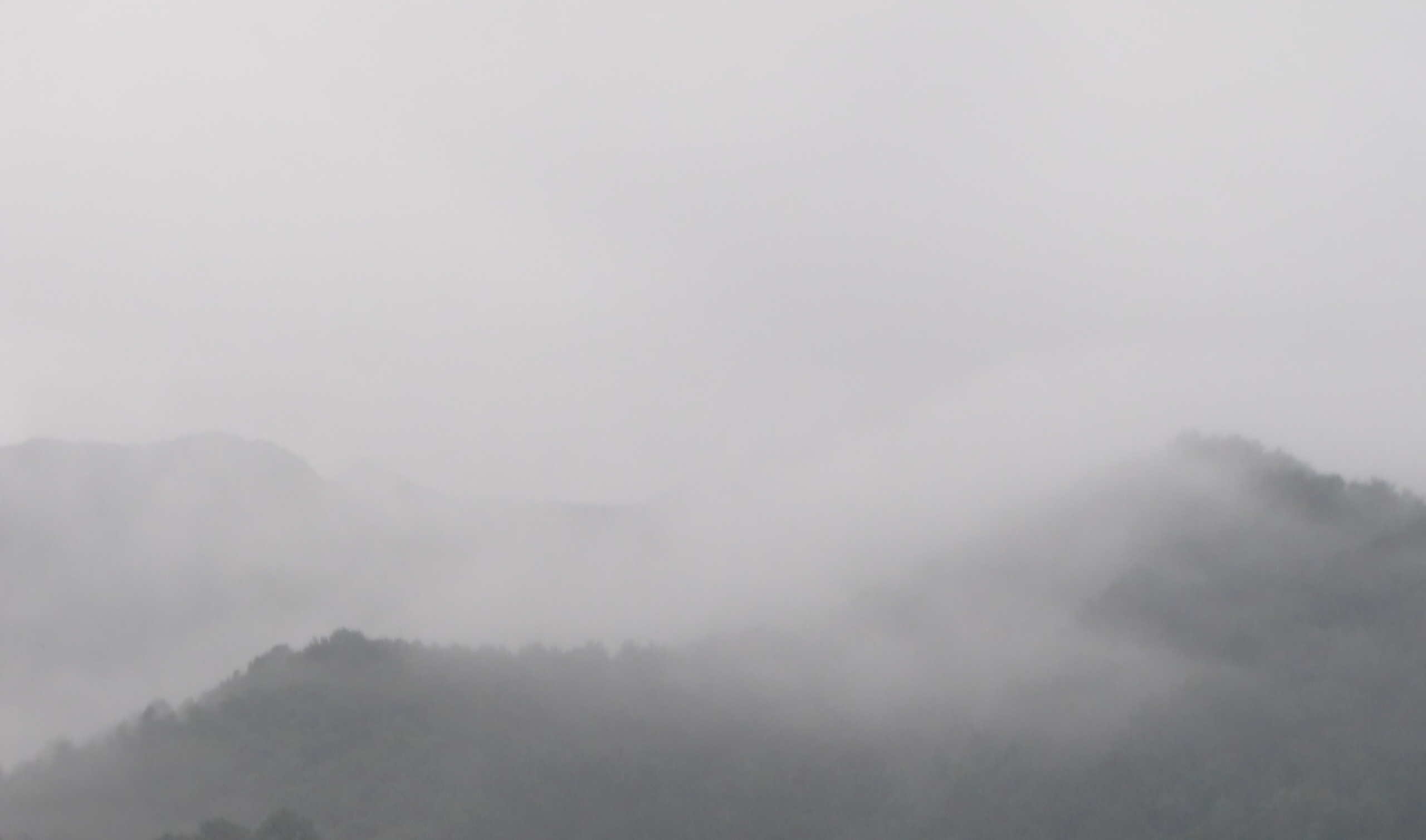 Read more about the article 날씨가 ‘아열대성 우기’ 같습니다