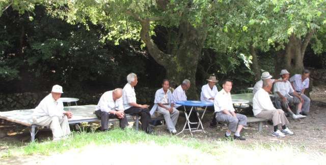 Read more about the article 남녘의 노년, 아릅답습니다.