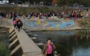 Read more about the article 전주천변, 새벽시장에 갔습니다.