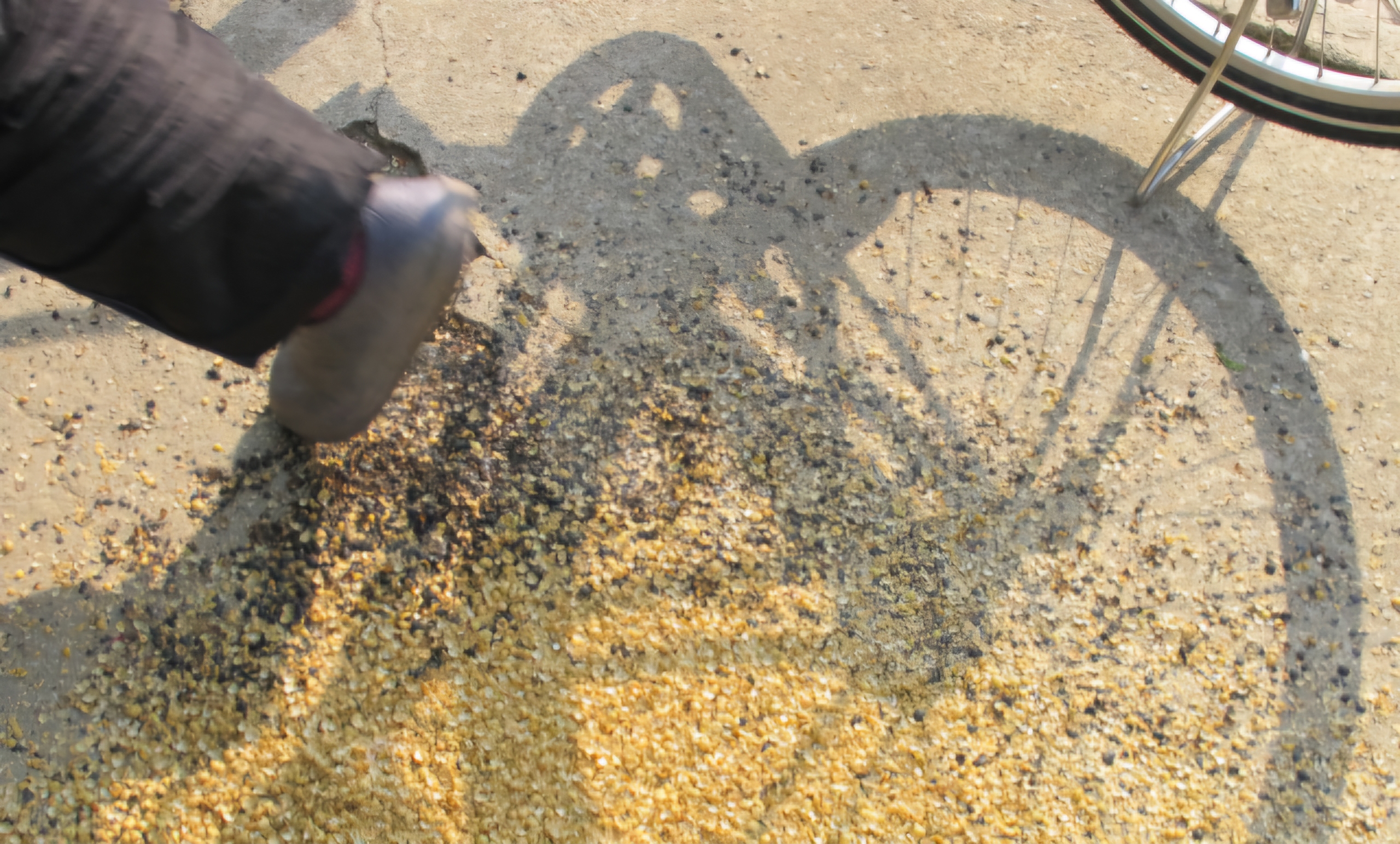 Read more about the article ‘거기 그 순간’, 시공간이 사진 같습니다