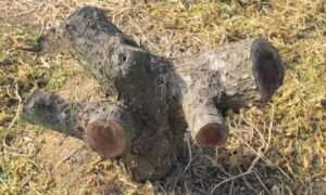 Read more about the article ‘세대교체’, 왠지 쓸쓸하다