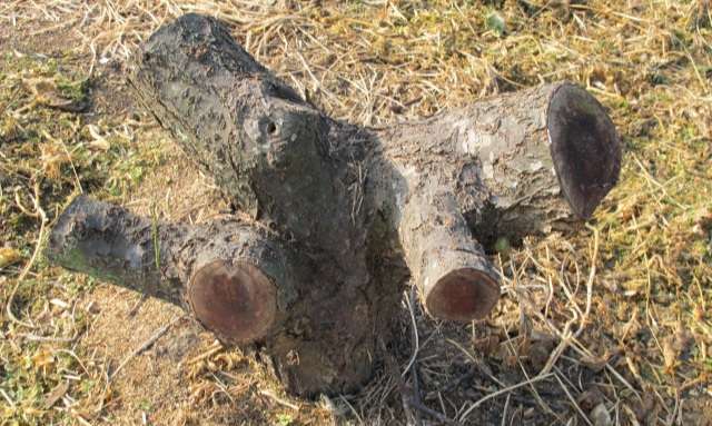 Read more about the article ‘세대교체’, 왠지 쓸쓸하다