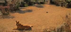 Read more about the article 세월 한 자락, 지나갔습니다