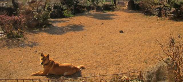 Read more about the article 세월 한 자락, 지나갔습니다