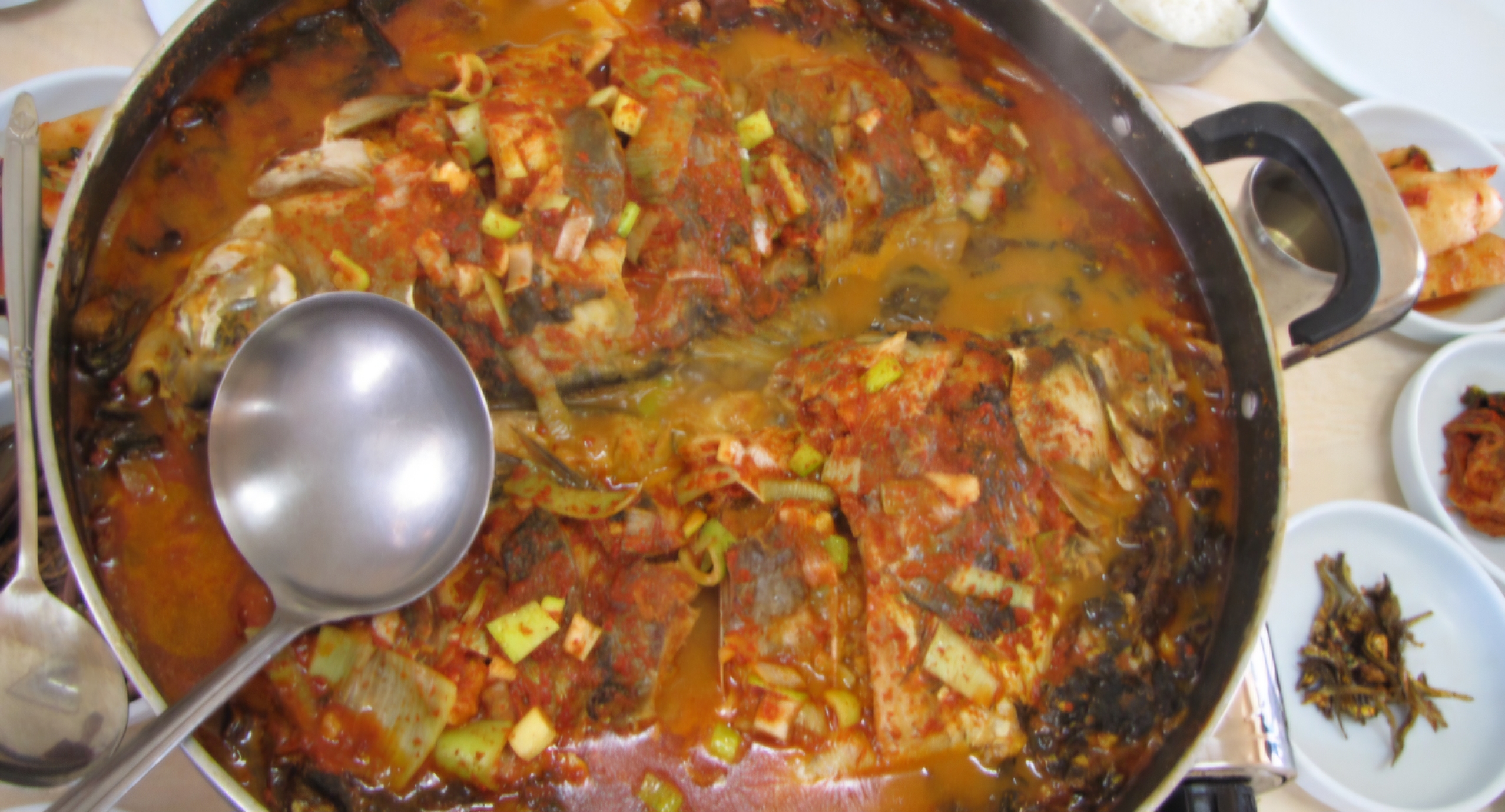 Read more about the article 용담댐 붕어, 얼마쯤 클까요?