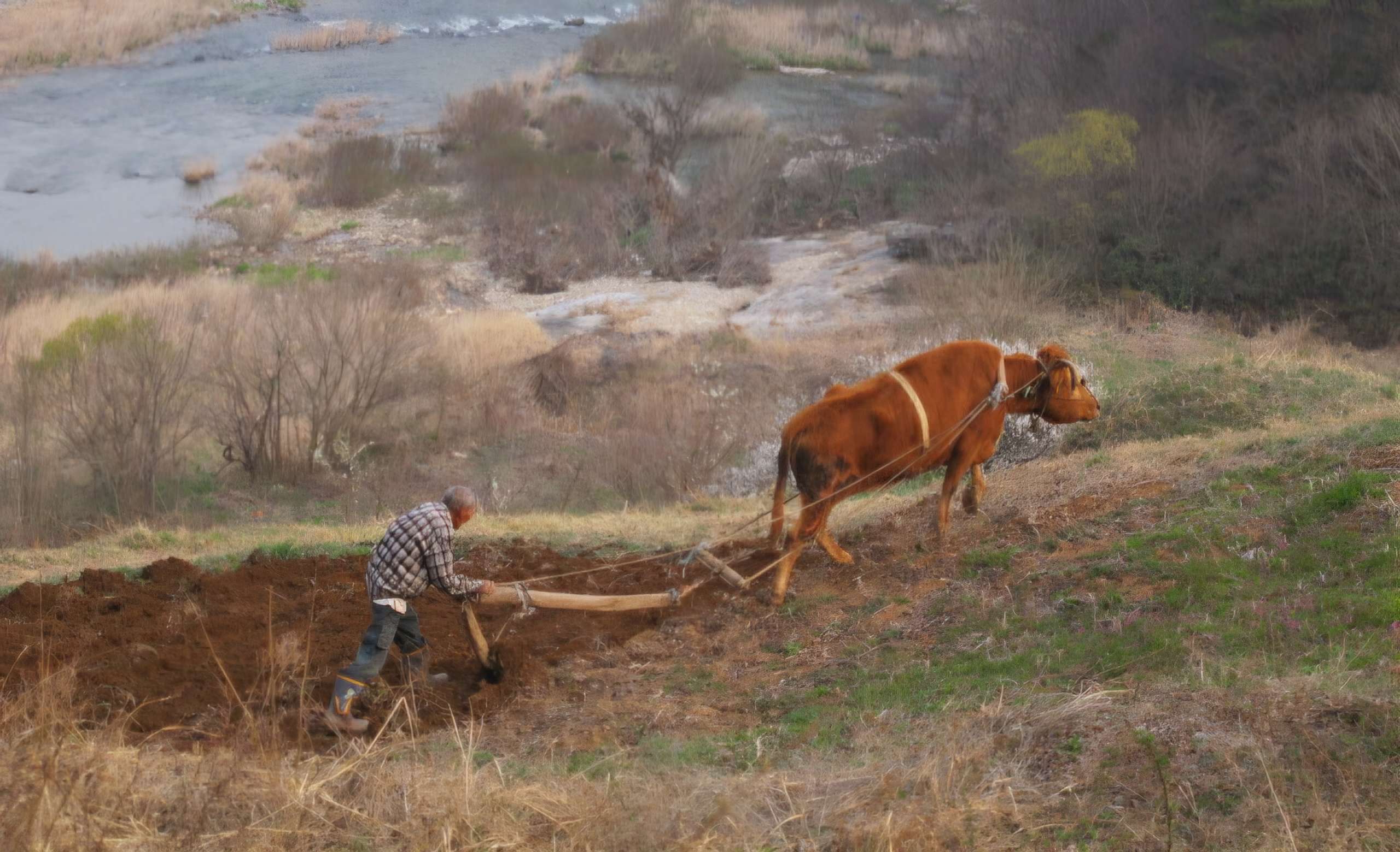 Read more about the article ‘ 천담리 구담마을’, 그림 같습니다