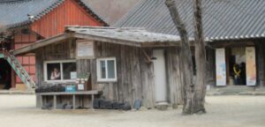 Read more about the article 창밖을 바라보는 표정이 그윽했습니다.