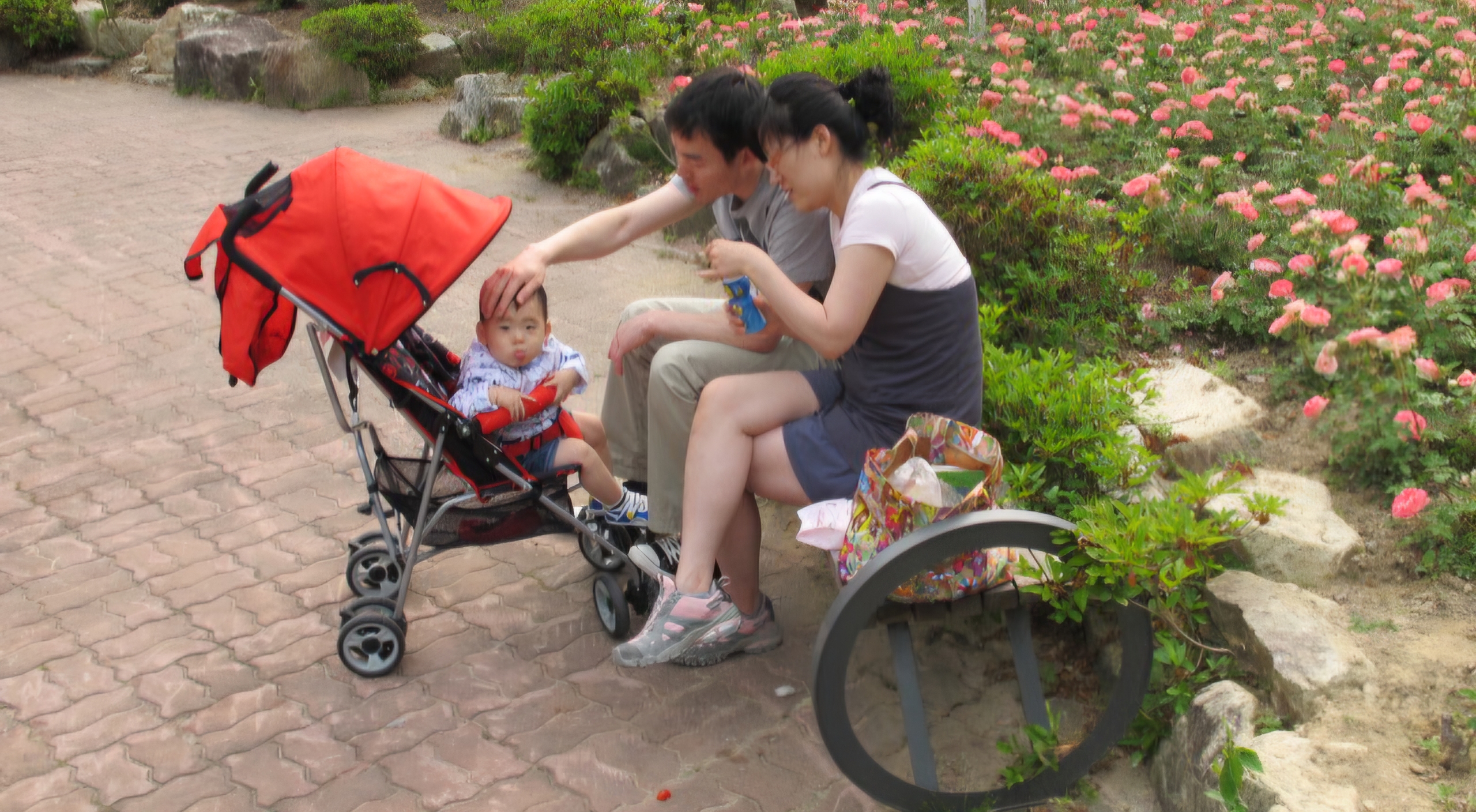 Read more about the article 꽃밭의 꽃보다 아름답습니다