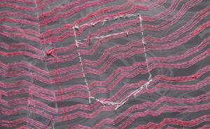 Read more about the article ‘아시아’, 가깝게 보였습니까?