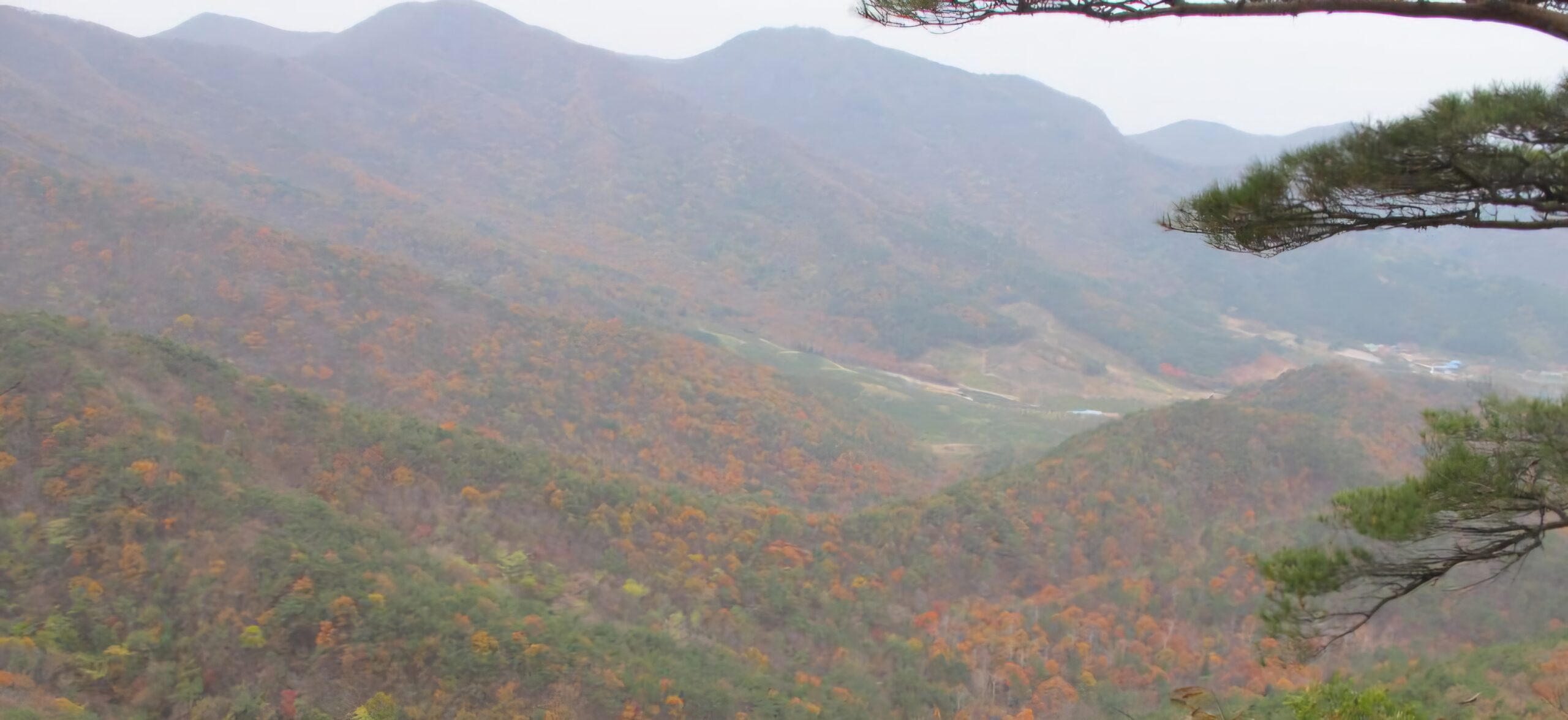 Read more about the article 월명암 가는 능선이 곱습니다.