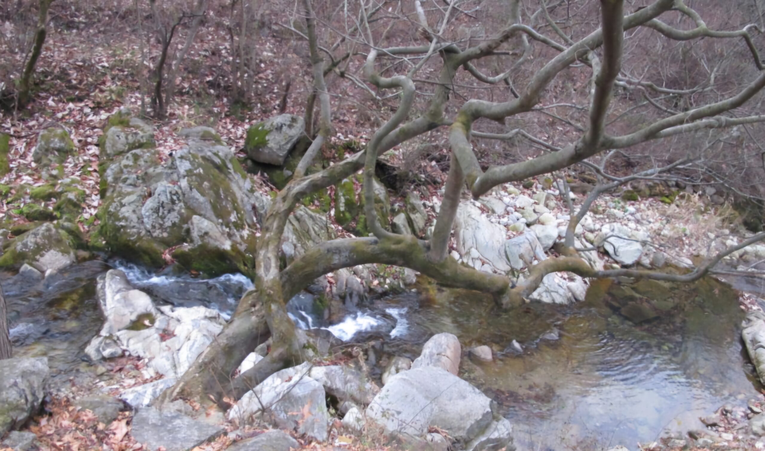 Read more about the article 축복속에 아픔도 있었다 얘기입니다.