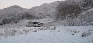Read more about the article 호남지방,폭설 내렸습니다.