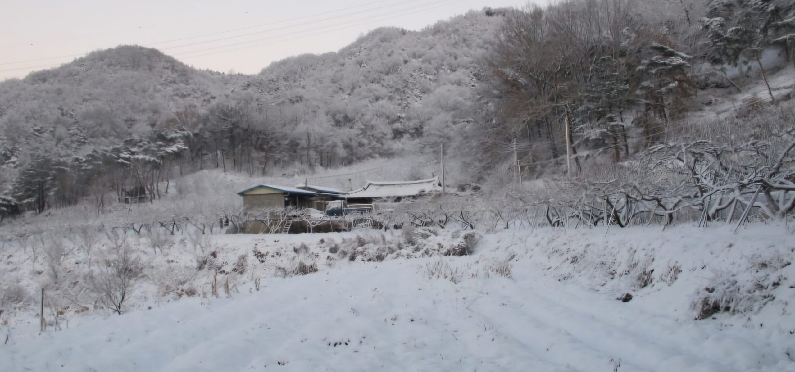 Read more about the article 호남지방,폭설 내렸습니다.