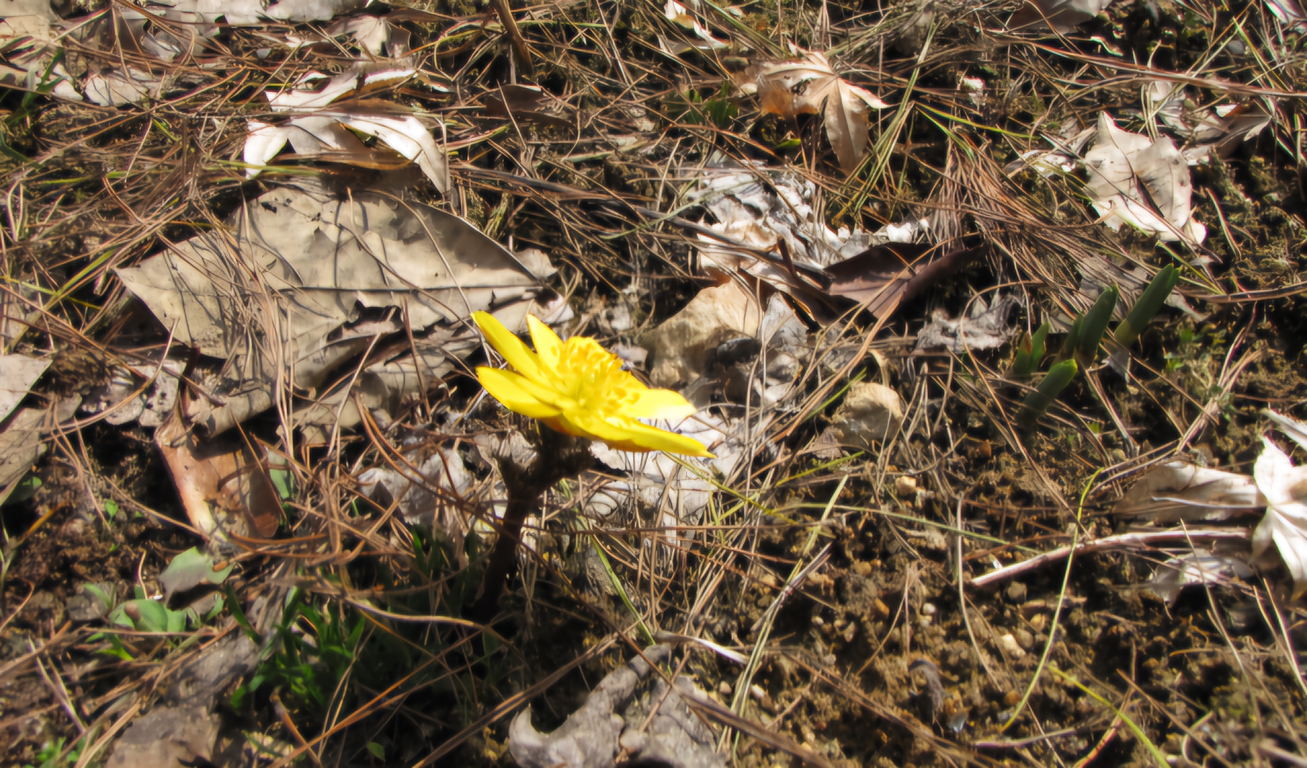 Read more about the article 오랜 술친구들 이야기입니다.