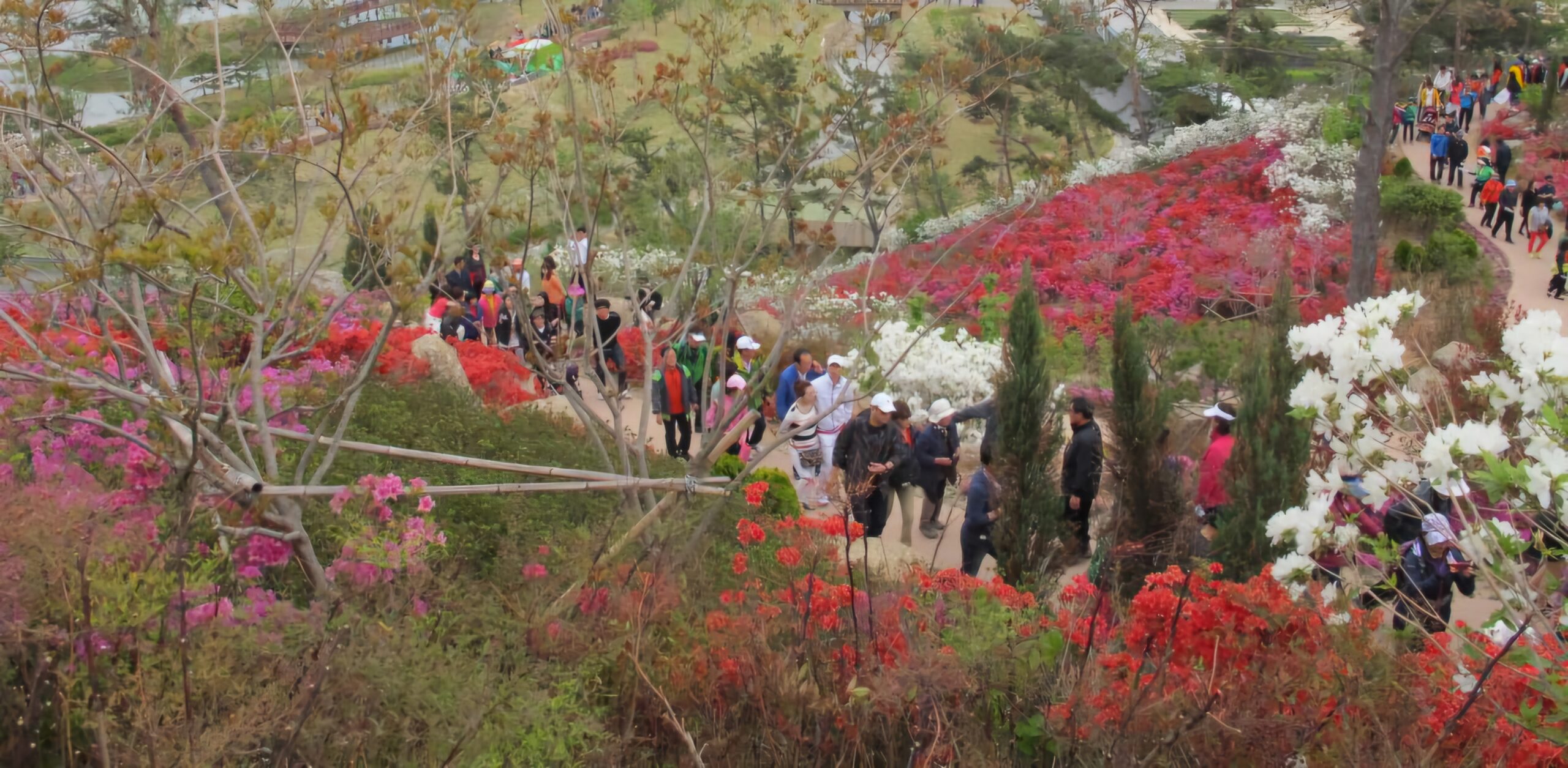 Read more about the article 순천 세계정원박람회;볼만했습니다.