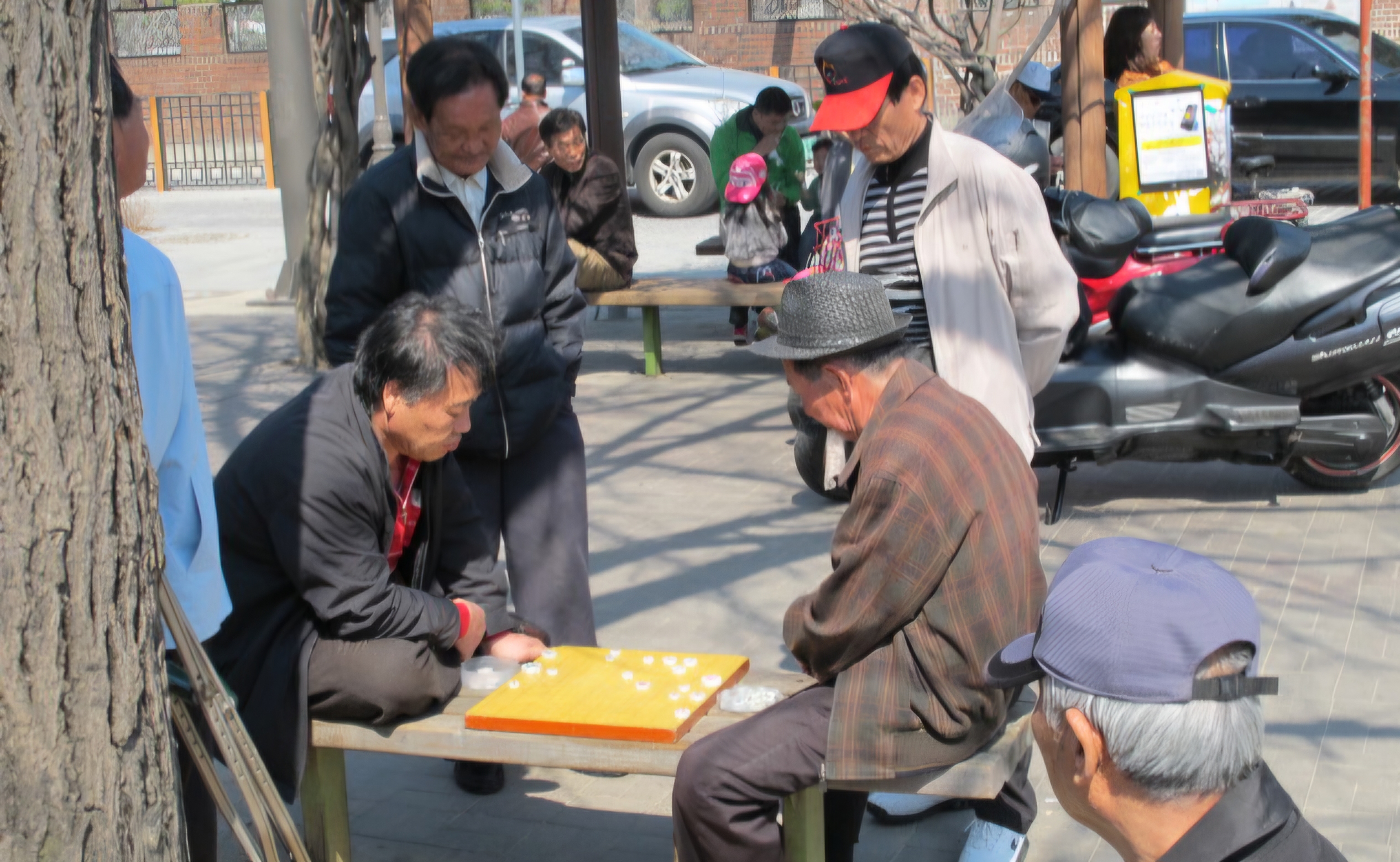 Read more about the article 장기판에 무슨 일이 있을까요?