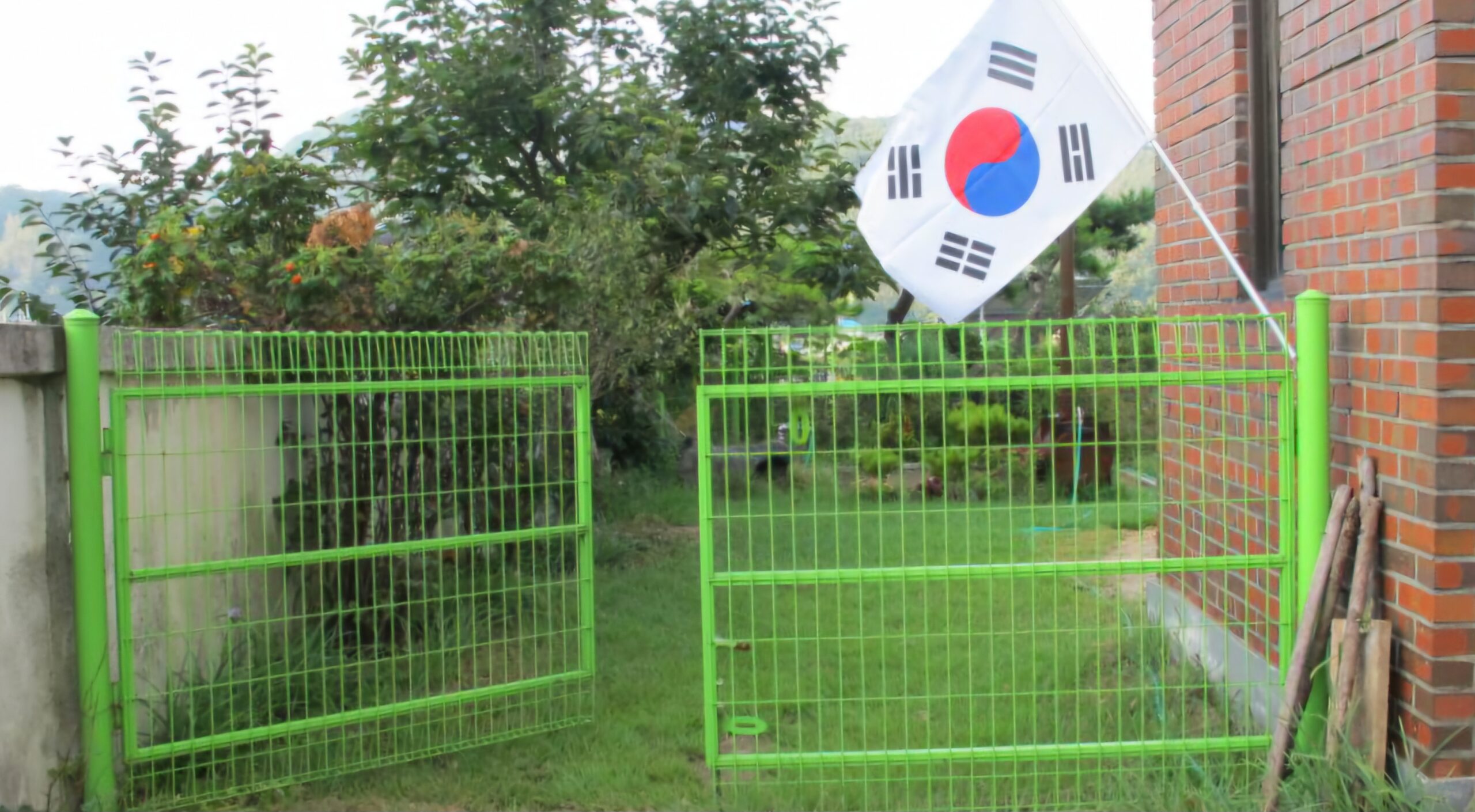 Read more about the article 광복절, 태극기를 달았습니다.