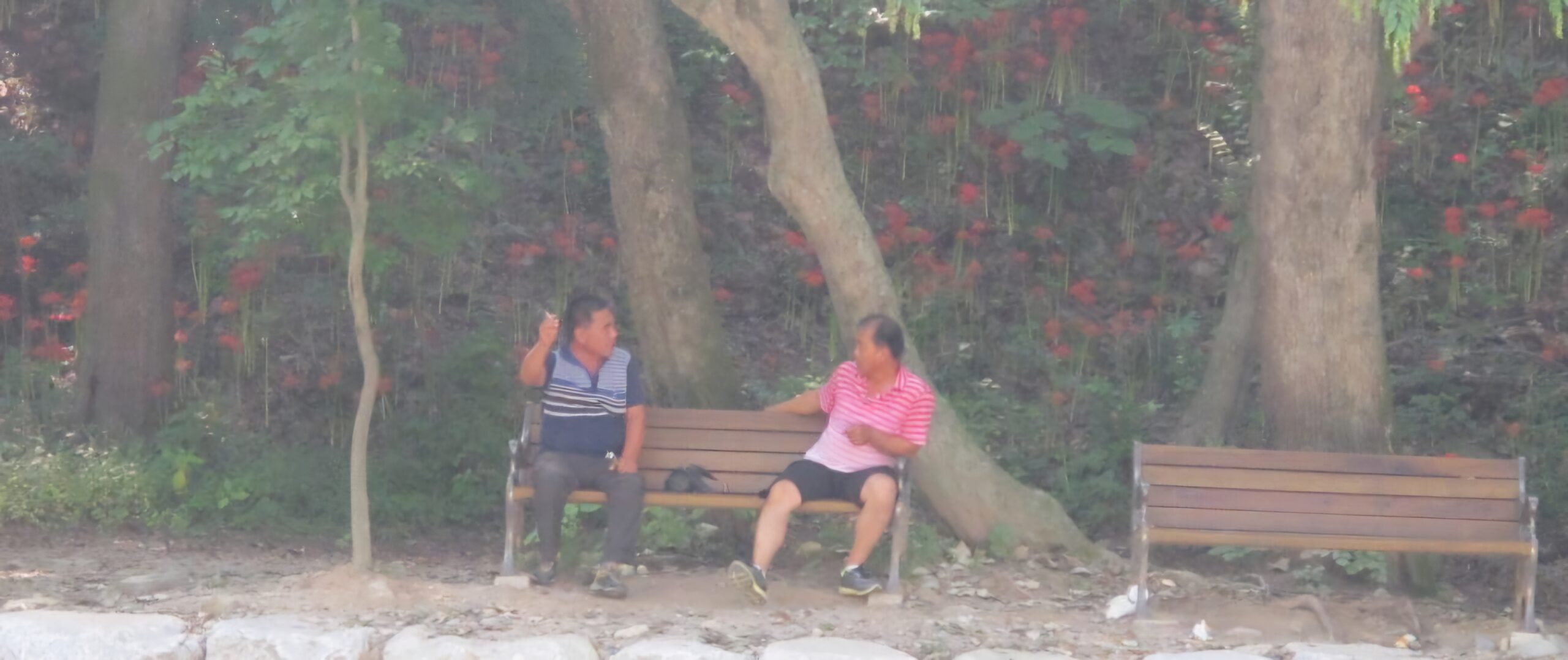 Read more about the article 무슨 얘기 저리 하실까요?