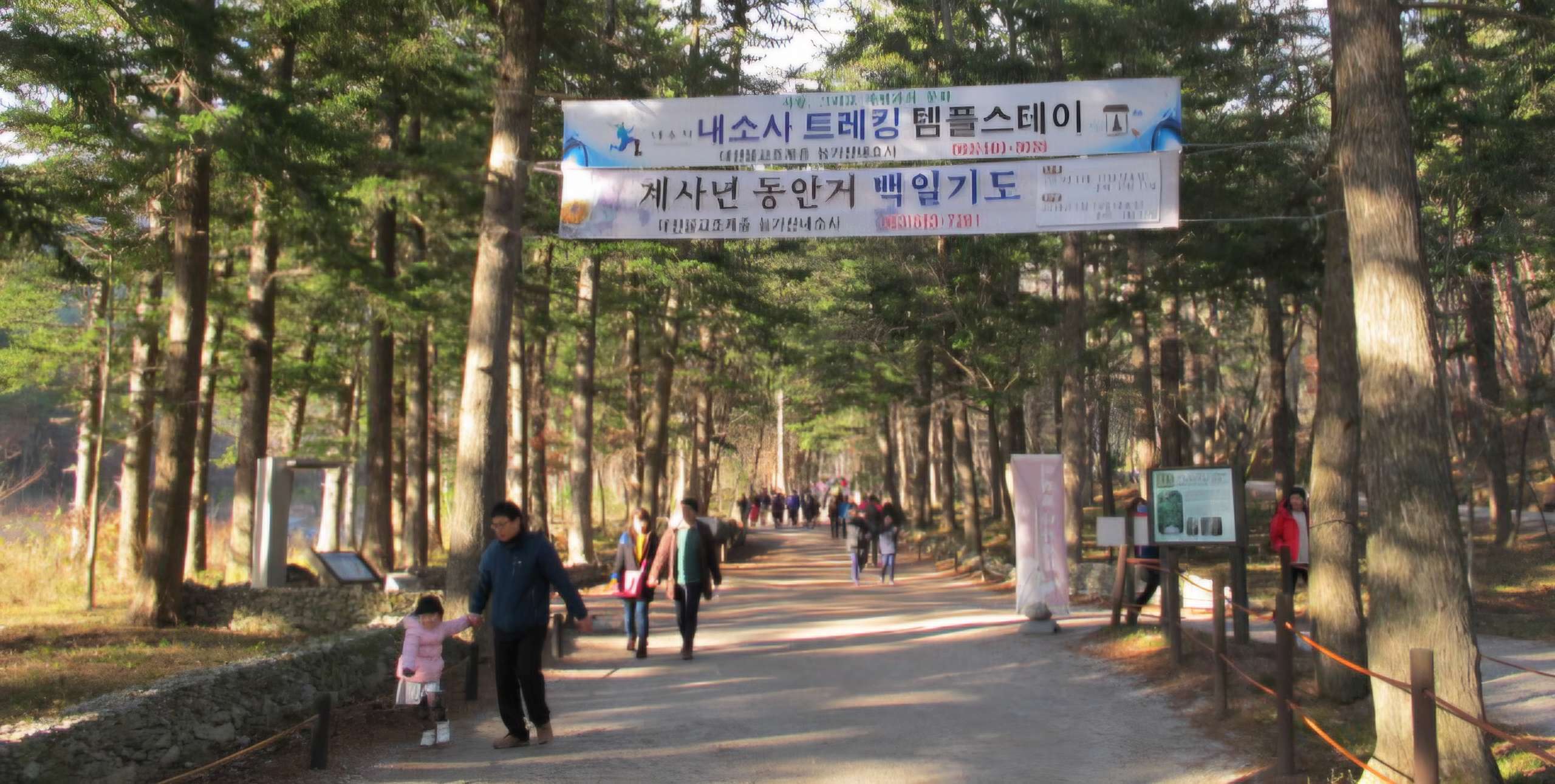 Read more about the article 내소사, 입구 전나무숲이 좋습니다.