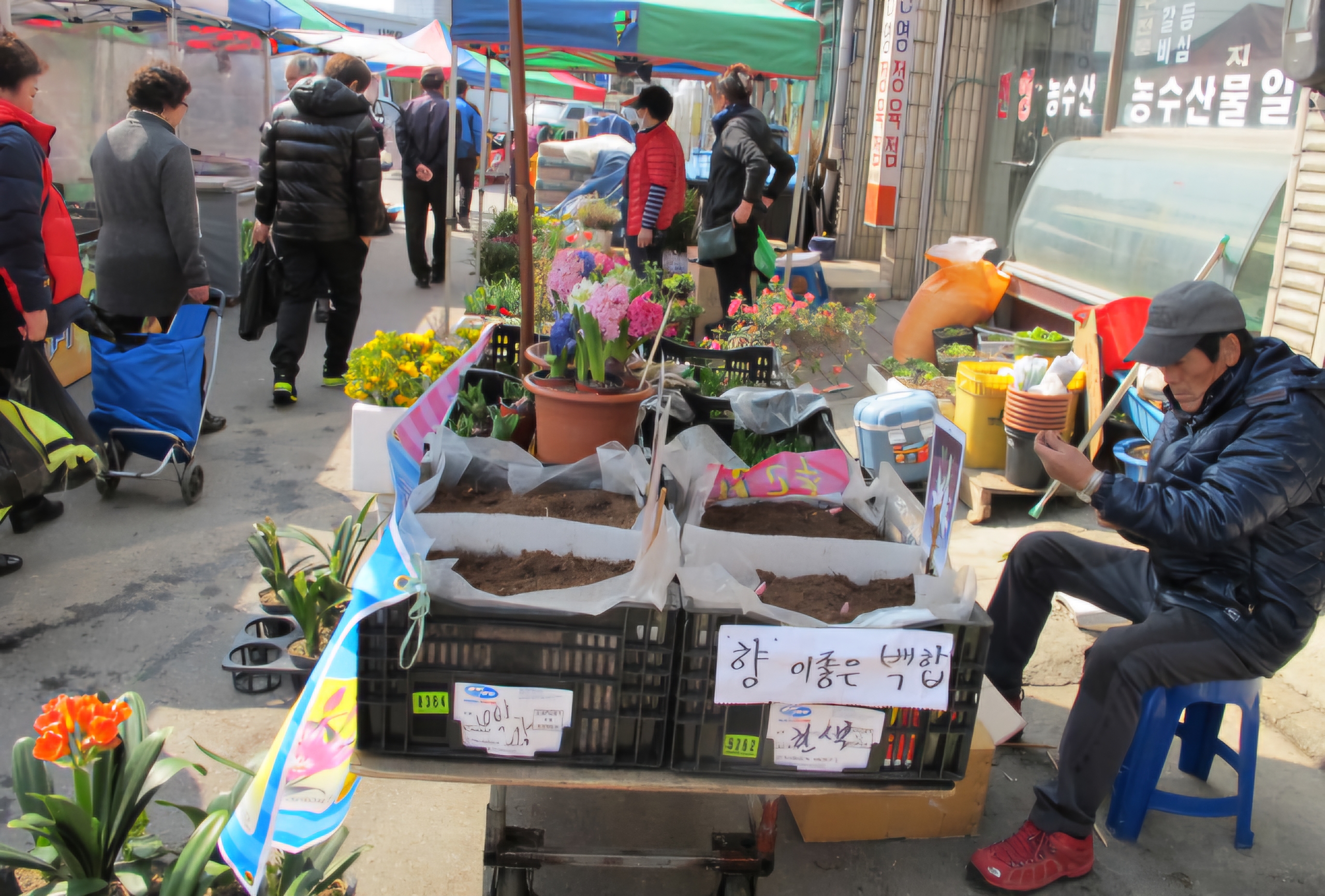 Read more about the article 대야장날, 봄빛이 찬란합니다.