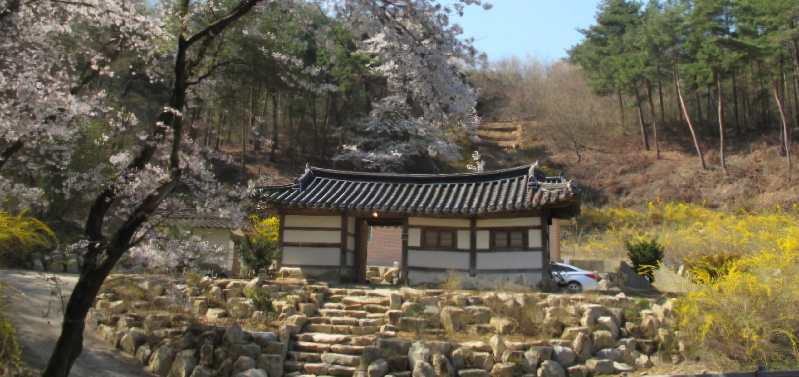 Read more about the article 서도 장씨 시제를 모셨습니다.