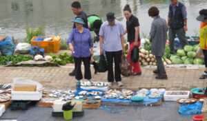 Read more about the article 전주새벽시장, 커지고 있습니다.