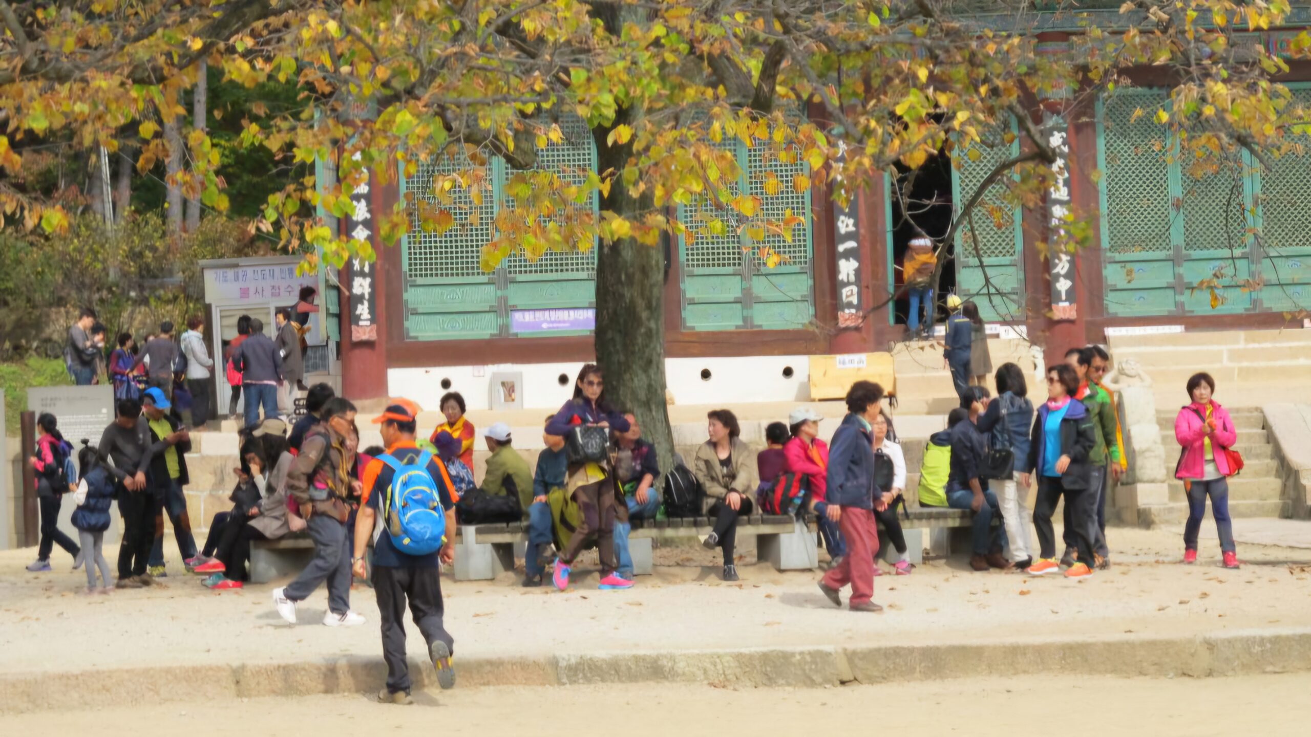 Read more about the article 법주사, 가을빛이 완연했습니다.