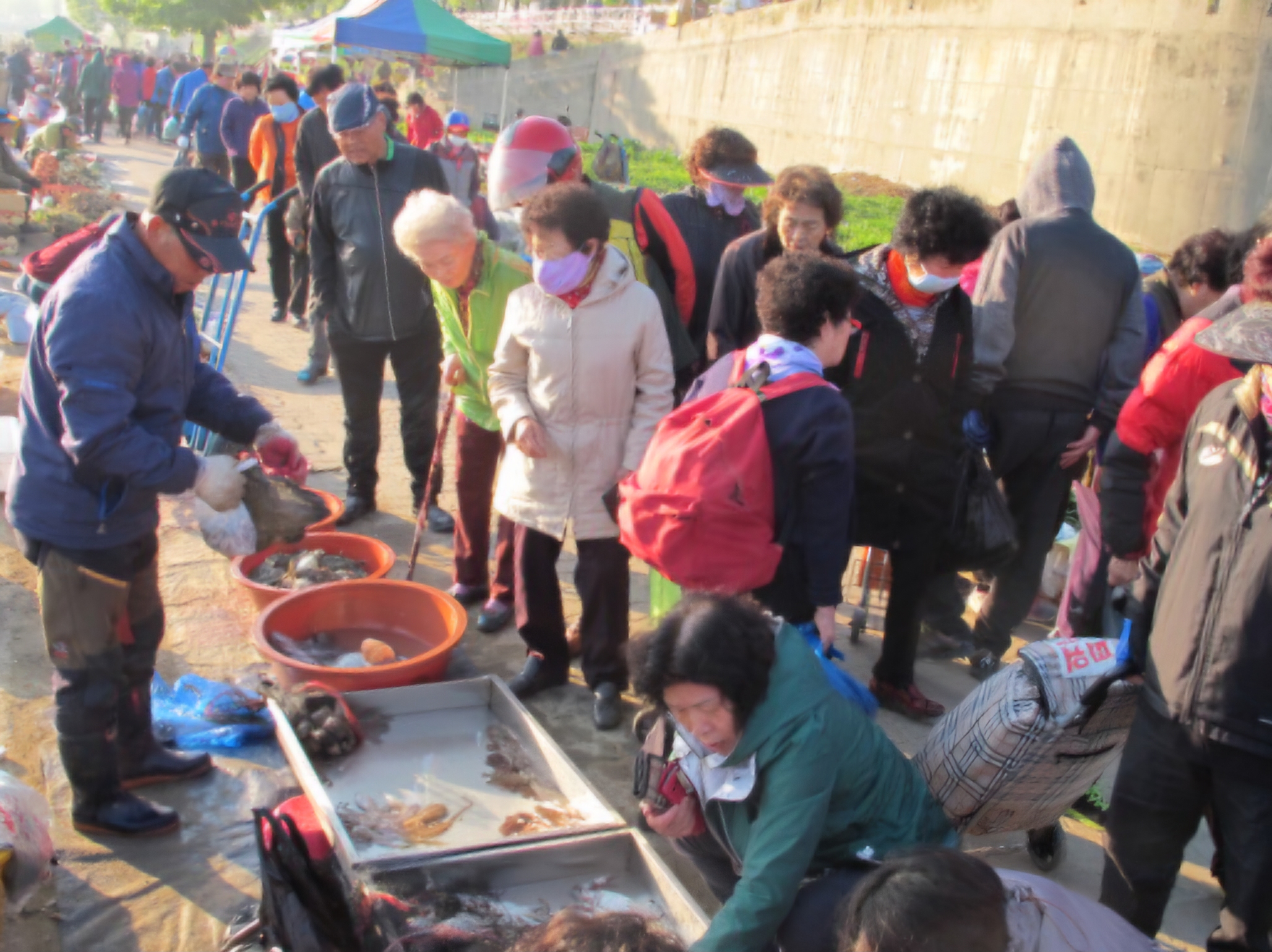 Read more about the article 새벽시장, 또 다녀왔습니다.