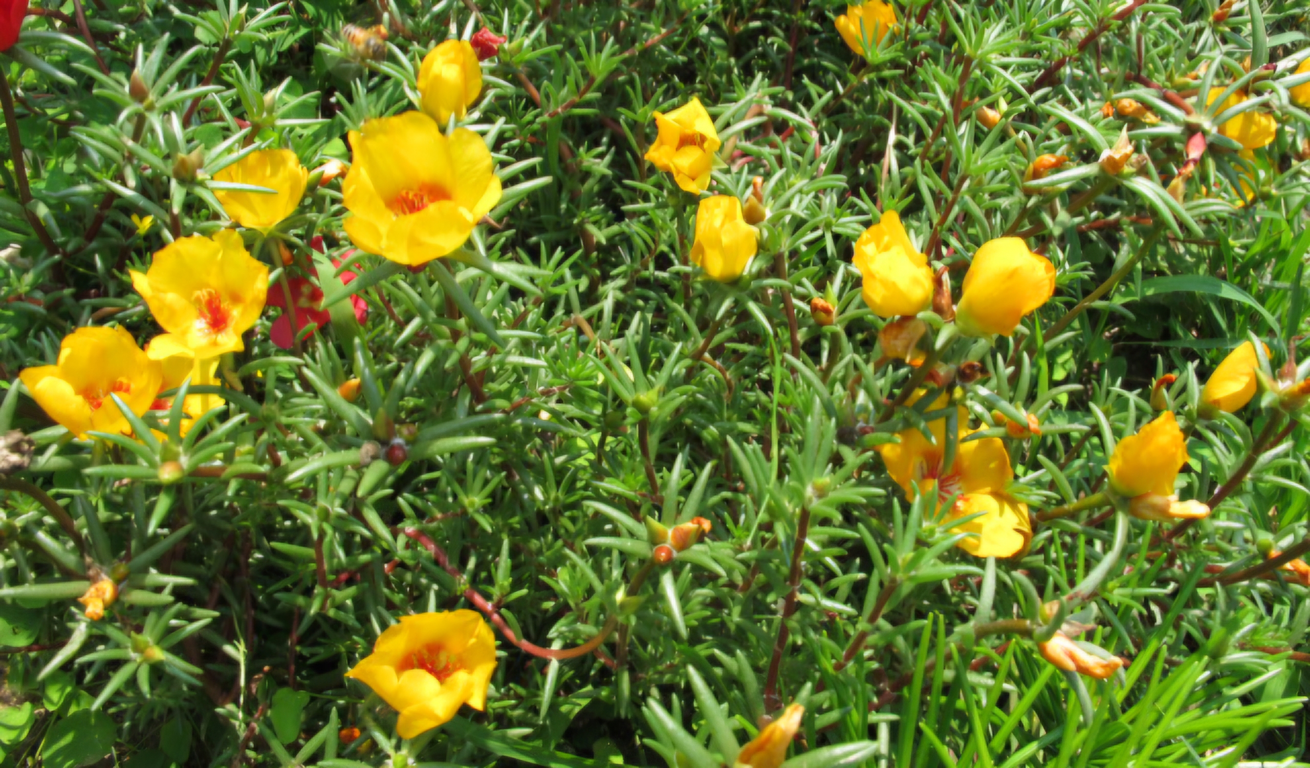 Read more about the article 더위 함께 장마가 왔읍니다.