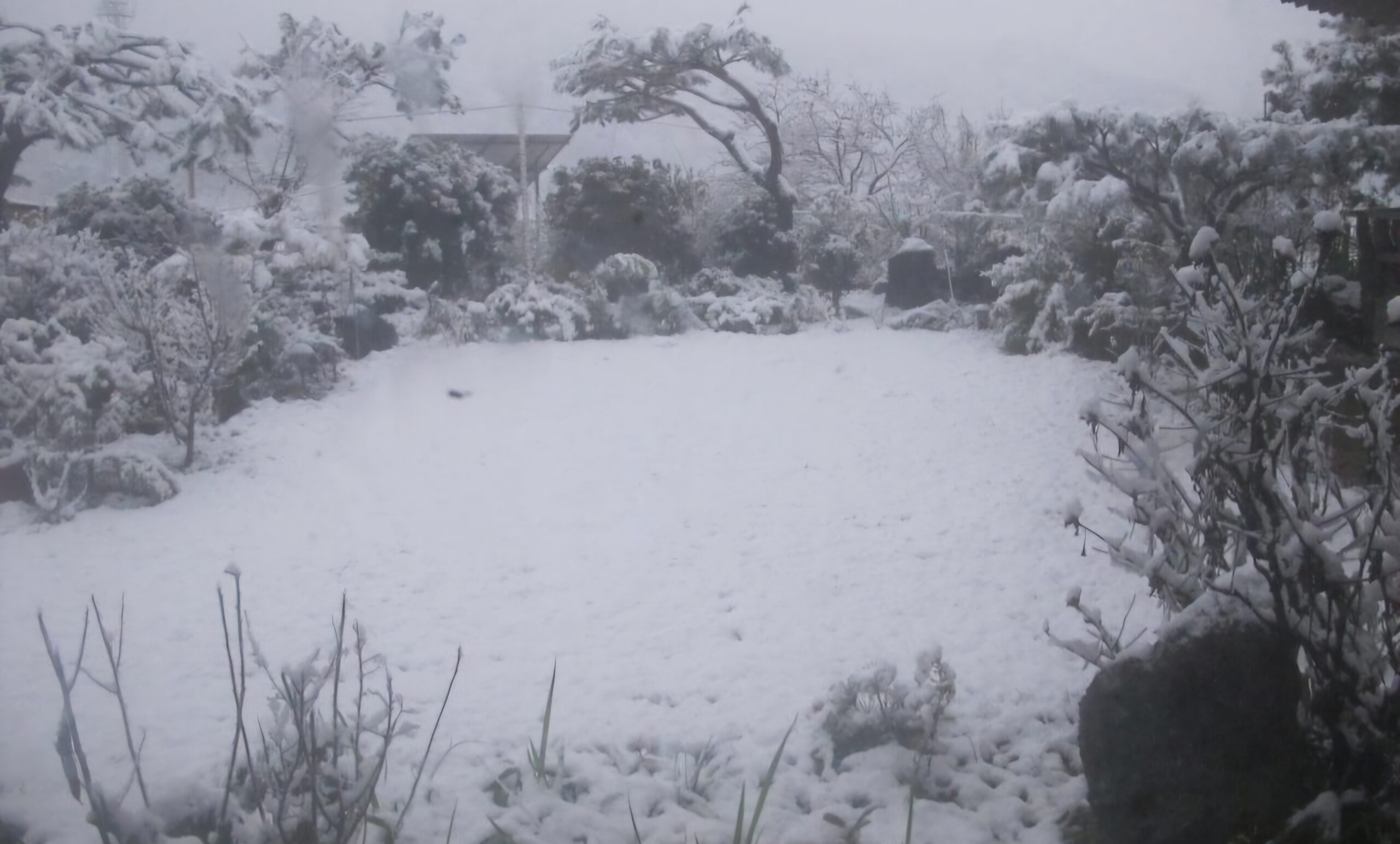 Read more about the article 간 밤, 첫 눈이 내렸습니다.