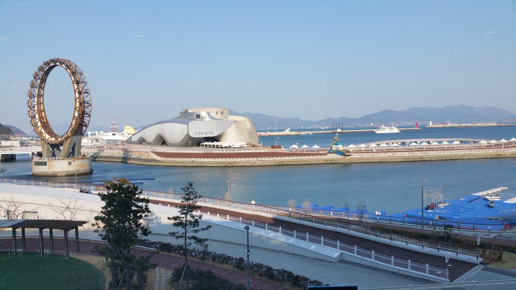 Read more about the article 남녘 끝, 동백꽃 소식이 궁금했습니다.