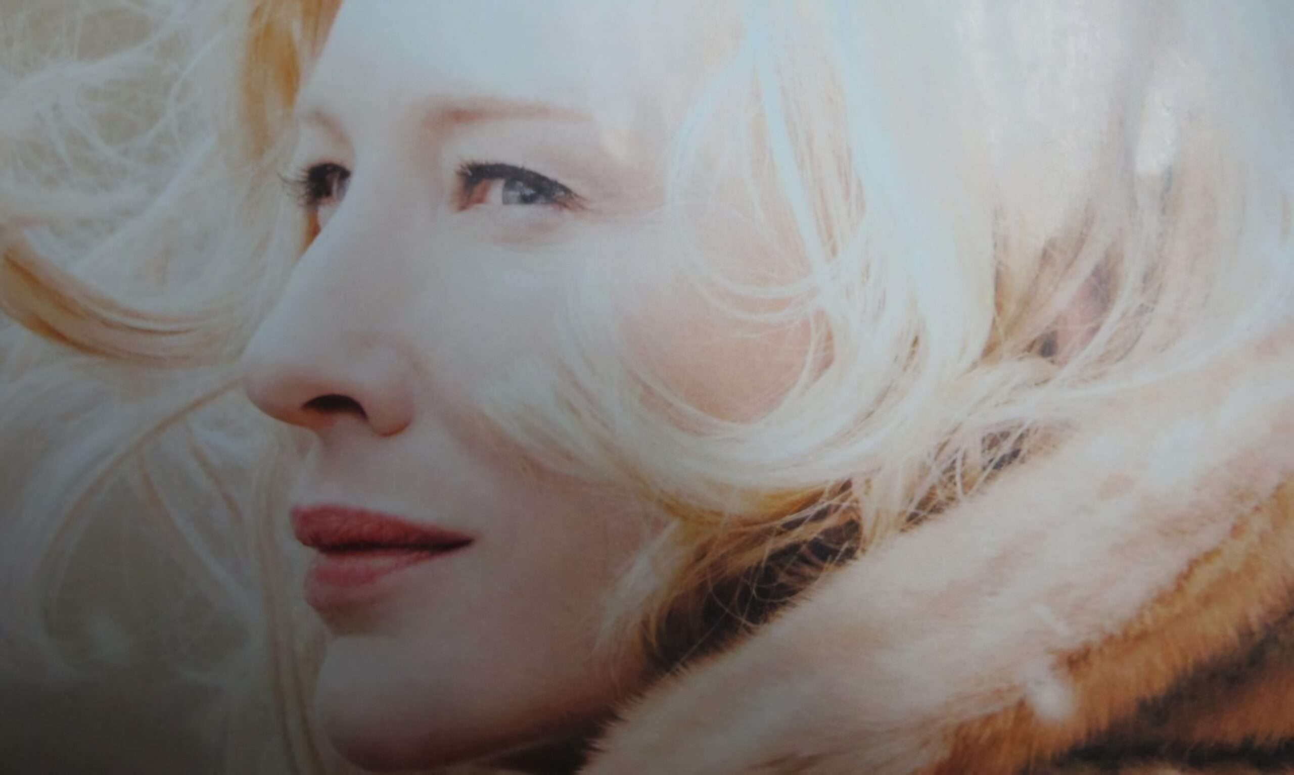 Read more about the article 영화제목은 내용이 아닙니다.