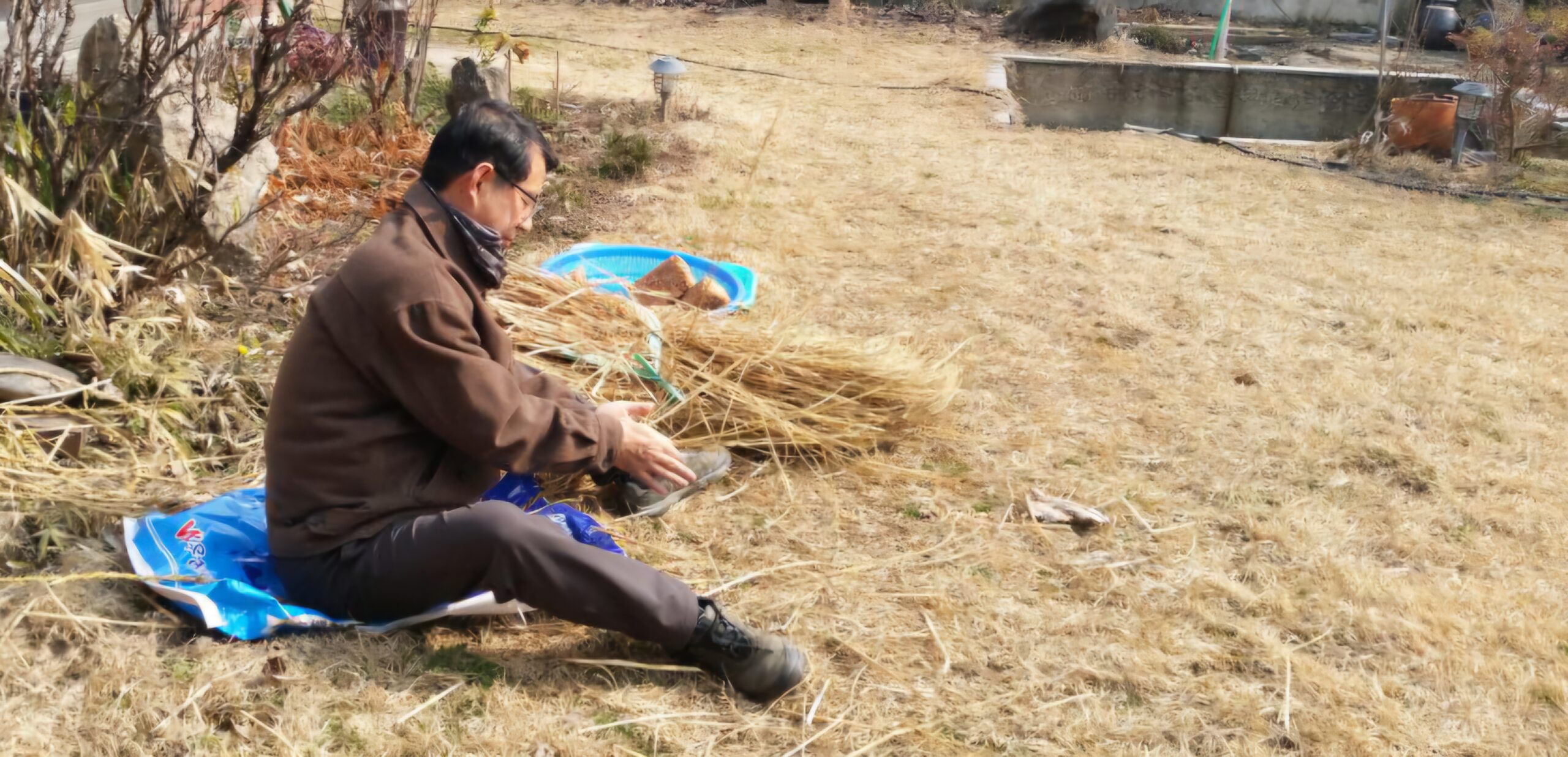 Read more about the article 메주를 쑤어서 메달았습니다.