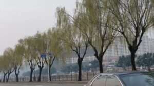 Read more about the article 익산 용안: 전길중-전정구 시인 고향이랍니다.