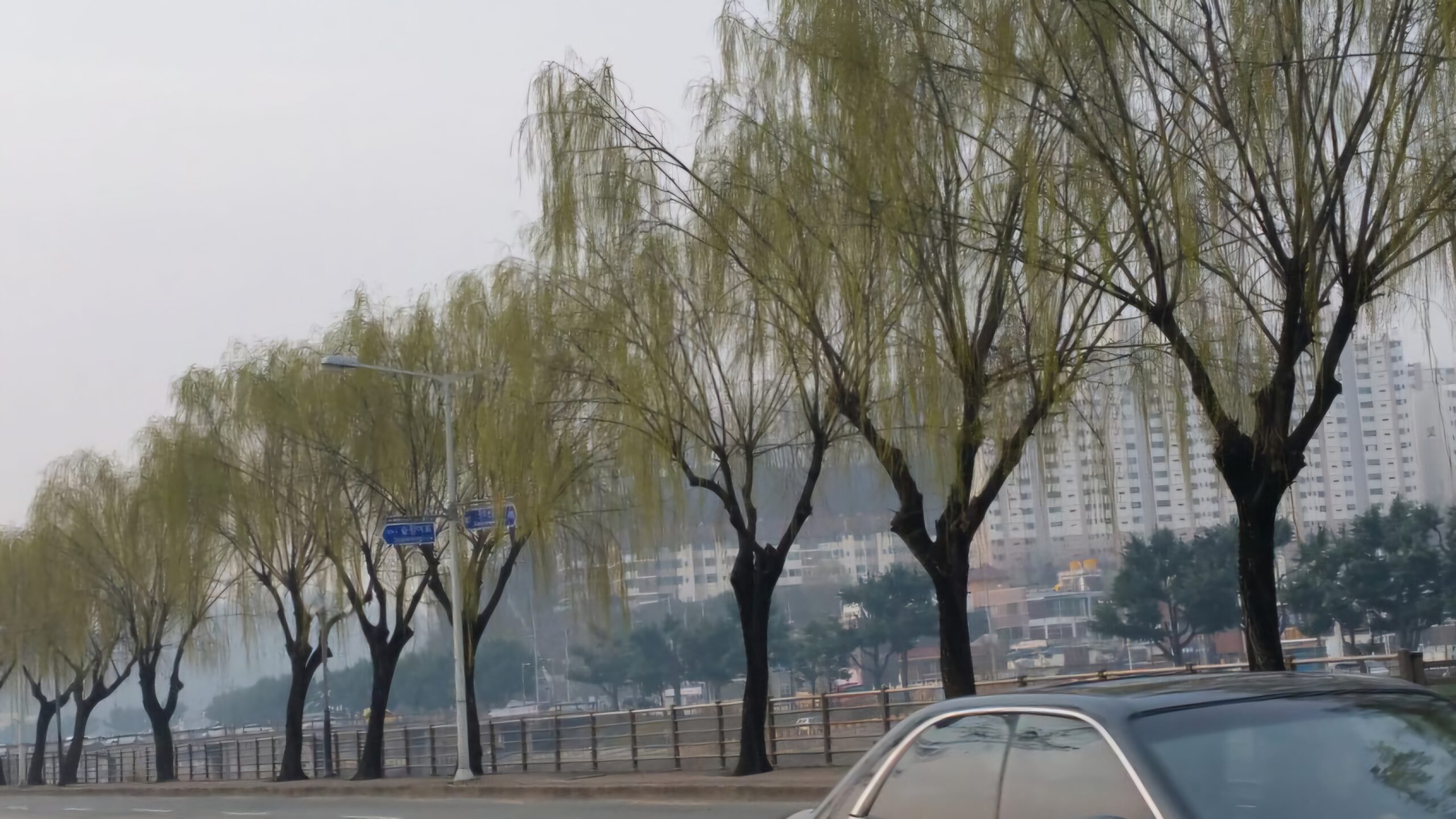 Read more about the article 익산 용안: 전길중-전정구 시인 고향이랍니다.