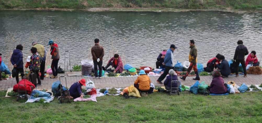 Read more about the article 전주천시장, 이른봄입니다.