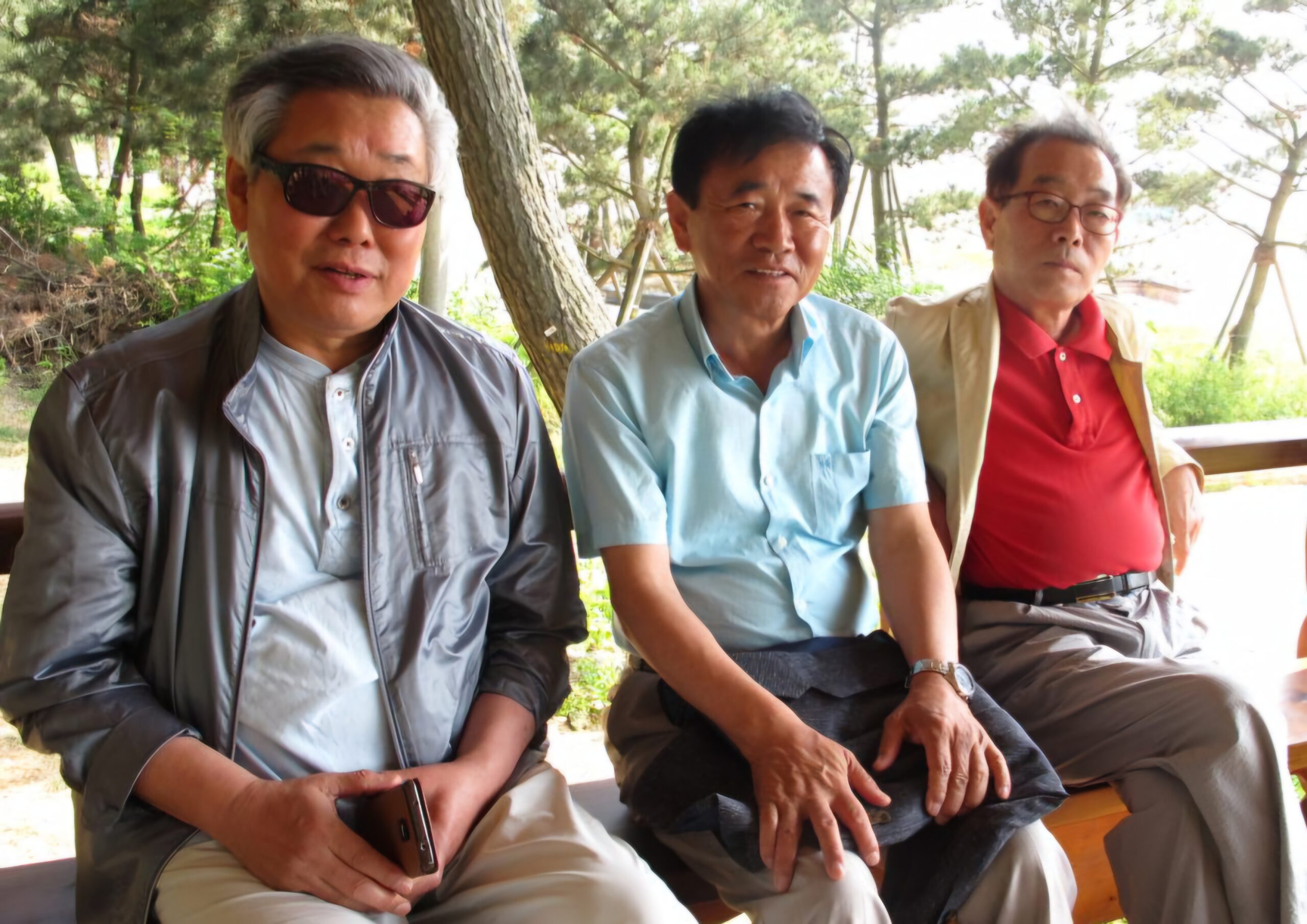 Read more about the article 장항 해변, 송림이 좋습니다.