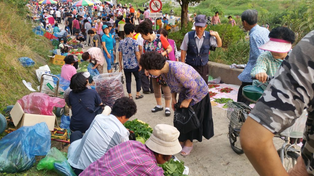 Read more about the article 전주천 새벽시장, 가을입니다.